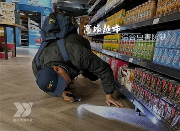 商場蟲害防治專業服務